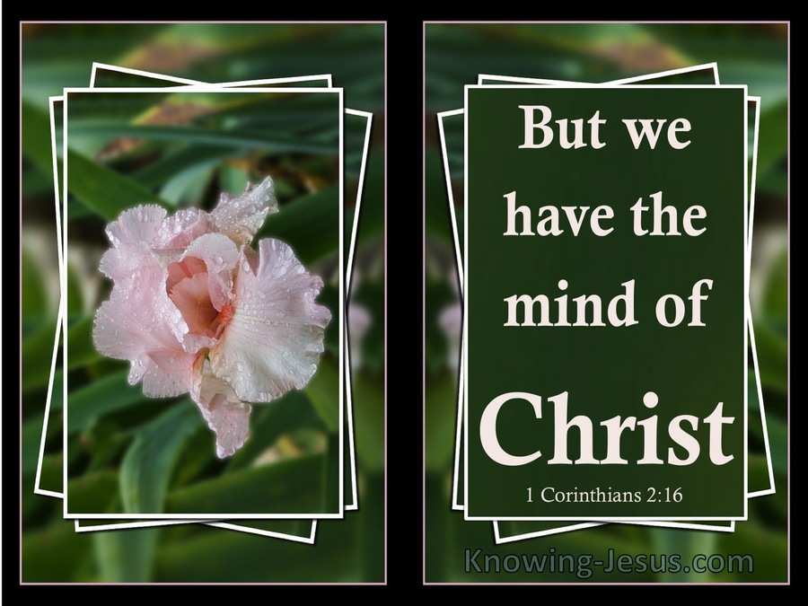 1 Corinthians 2:16 We Have The Mind Of Christ (green)